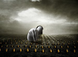 チューリップ泥棒、2013年（写真） 作： Johan Lilja