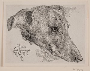デンマーク語： Hundehoved, Snip