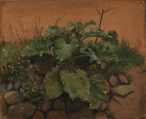石垣のごぼうとその他の植物 作： Johan Thomas Lundbye