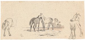 二頭の馬。 と馬の研究