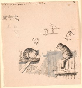 二匹の猫。 F.o. 猫の頭、鳥、猫の耳、梁の研究。 Kaalund の「Fables for Children」のイラスト。 シート カタログのコメントを参照してください。 作： Johan Thomas Lundbye