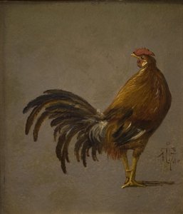 おんどり