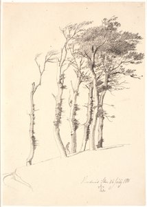 吹きさらしの樹木群 作： Johan Thomas Lundbye