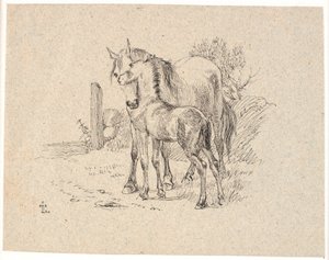 馬と子馬