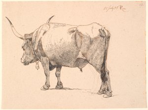 斜め後ろから見た、首に鈴が付いたローマ時代の雄牛 作： Johan Thomas Lundbye