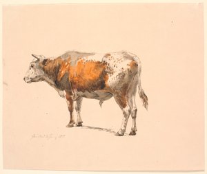 立っている赤い斑点のある雄牛、左向き、斜め後ろから見た 作： Johan Thomas Lundbye