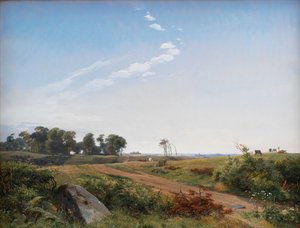 ニュージーランドの風景。ノースジーランドのオープンカントリー 作： Johan Thomas Lundbye