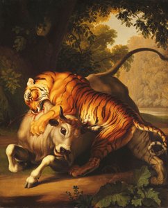 雄牛を攻撃する虎、1785
