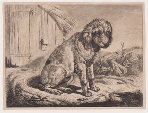 座る犬 作： ヨハン・アダム・クライン
