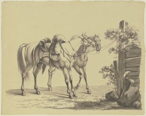  作： Johann Adam Klein
