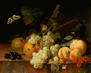 蝶、カタツムリ、毛虫のある大理石の棚の上の果物（キャンバスに油彩） 作： Johann Amandus Wink