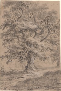森の小道の緑豊かなオーク 作： Johann Caspar Huber