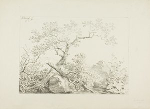 水辺の木と岩 作： Johann Christian Klengel