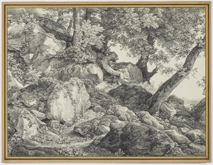 1818年、アリッチャのパラッツォチギ公園（黒鉛と敷き紙に黒いチョーク） 作： Johann Christian Reinhardt