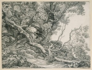  作： Johann Christian Reinhart