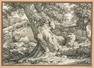  作： Johann Christian Reinhart