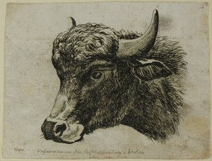 『Die Zweite Thier Folge』より、左向きのバッファローの頭 作： Johann Christian Reinhart