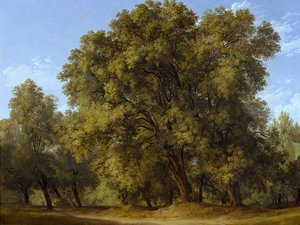  作： Johann Christian Reinhart