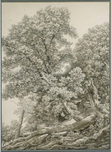  作： Johann Christian Reinhart