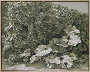  作： Johann Christian Reinhart
