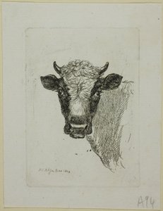 Die Zweite Thiernahme の若い雄牛の頭 作： Johann Christian Reinhart