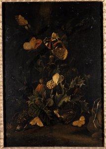 蝶とヒキガエル（オークの木の油）の花 作： Johann Christian Thomas Winck