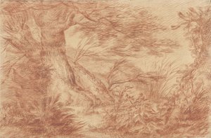 古い柳の幹の近くの植物や草 作： Johann Elias Ridinger