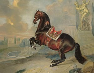 レヴァード運動を行うダークベイホース「バリド」 作： Johann Georg Hamilton