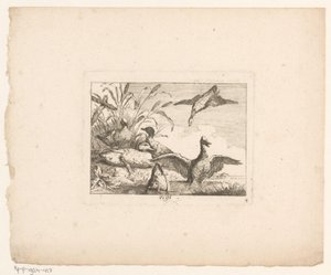 6羽のアヒルのいる風景 Birds in Landscapes (連載タイトル) 作： Johann Georg Hertel (I) (possibly)