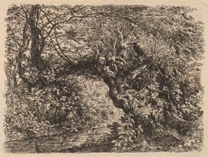 小川のそばの古い柳 作： Johann Georg von Dillis