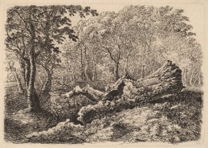成形された木の幹、1794年 作： Johann Georg von Dillis