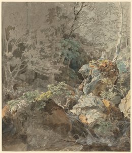 山林の滝 作： Johann Georg von Dillis