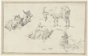 ヤギの研究 作： Johann Heinrich Roos (possibly)
