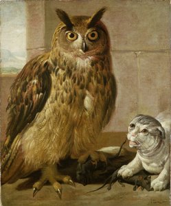 死んだネズミとワシフクロウと猫
