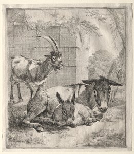 ヤギとロバ。 作： Johann Heinrich Roos
