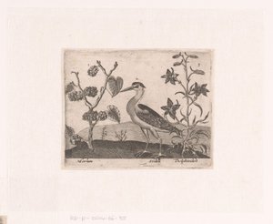 風景の中に花や動物を描いた版画シリーズ サギとラークスパーのある風景 動植物と花のある風景（連載タイトル） 作： Johann Hogenberg