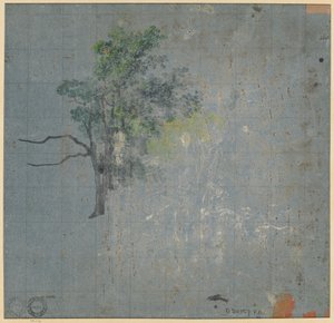 樹木研究 (裏面) 作： Johann Jacob Dorner