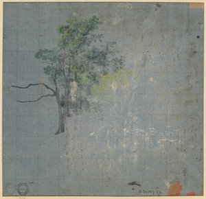 木の研究、1800年代前半 作： Johann Jacob Dorner