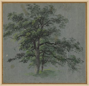 二本の木 (直腸) 作： Johann Jacob Dorner