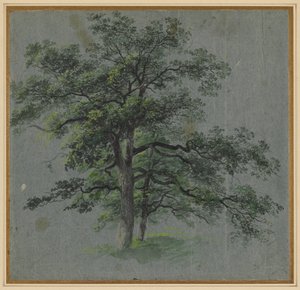 2本の木、1800年代前半 作： Johann Jacob Dorner