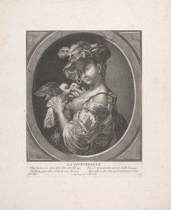 鳩 作： Johann Jacobus Haid