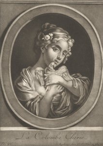 愛しい鳩 作： Johann Jacobus Haid