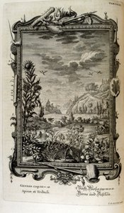 スイスの学者による「Physica Sacra」の銅版画。 ヨハン・ヤコブ・ショイツァー 作： Johann Jakob Scheuchzer