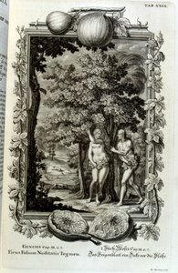 スイスの学者による「Physica Sacra」の銅版画。 ヨハン・ヤコブ・ショイツァー 作： Johann Jakob Scheuchzer