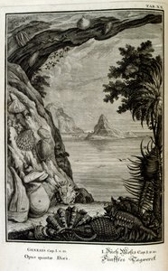 スイスの学者による「Physica Sacra」の銅版画。 ヨハン・ヤコブ・ショイツァー 作： Johann Jakob Scheuchzer