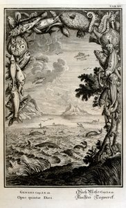 スイスの学者による「Physica Sacra」の銅版画。 ヨハン・ヤコブ・ショイツァー 作： Johann Jakob Scheuchzer