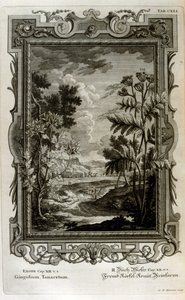 図 作： Johann Jakob Scheuchzer