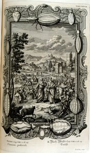 シラミとミッジの疫病 作： Johann Jakob Scheuchzer