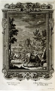 野生の雄牛を犠牲にする 作： Johann Jakob Scheuchzer