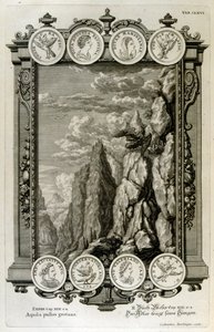 ワシとして象徴されるゼウス 作： Johann Jakob Scheuchzer